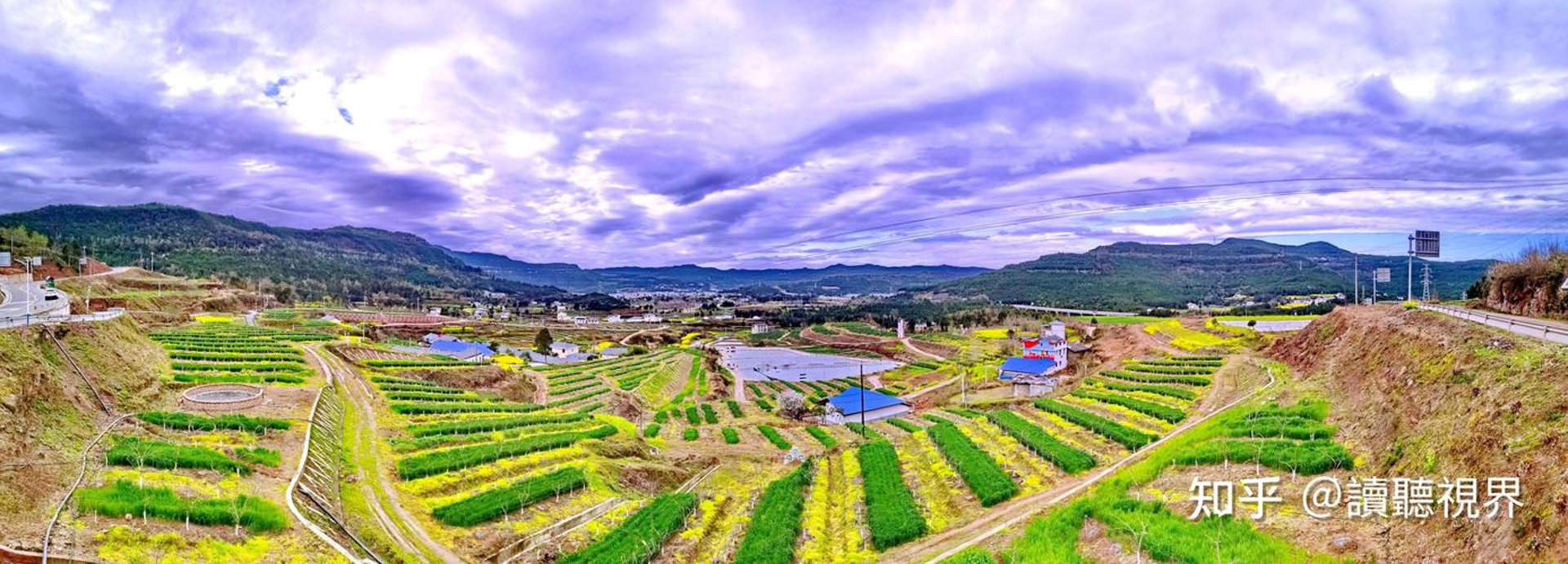 苍溪果苗基地
